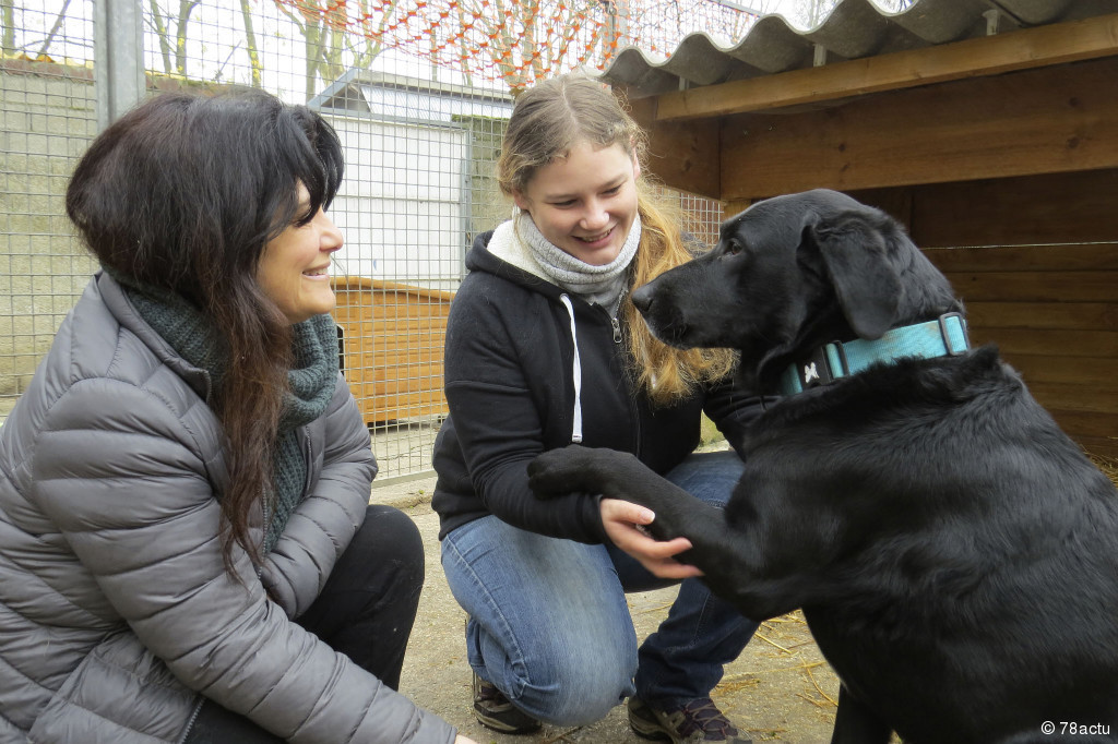 Un chien n'est pas un cadeau surprise